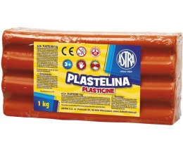 PLASTIC 1 KG RED ASTRA 303111006