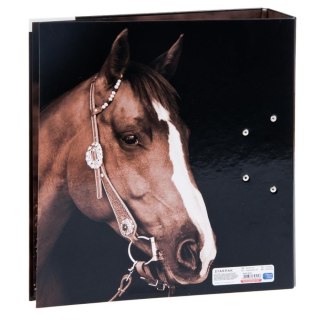 BINDER A4/7 CM HORSES STARPAK 390673