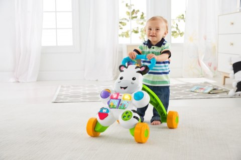 FP INTERACTIVE ZEBRA WALKER