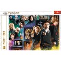 PUZZLE 1000 PIECES THE WIZARD WORLD OF TREFL 10668