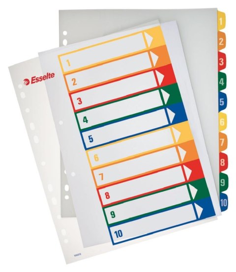 PRINTABLE INSERTS, PP, A4 MAXI ESSELTE 100213 ESSELTE