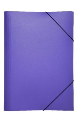 FILE WITH A ERASER A4 TREND PURPLE DURABLE 21613-12 DURABLE