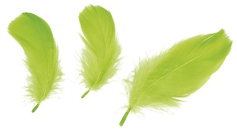 DECORATIVE FEATHERS 16G BRIGHT GREEN TITANUM CRAFT-FUN SERIES