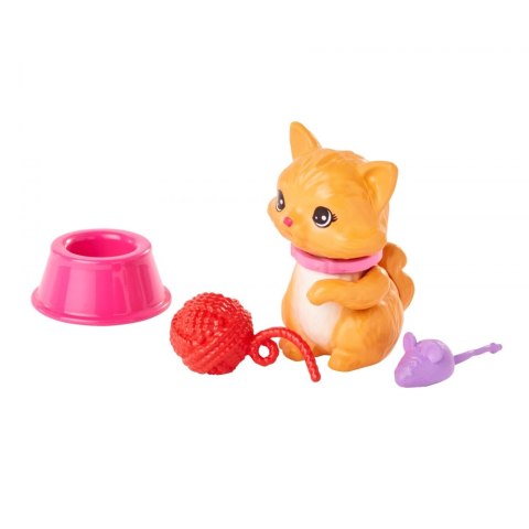 BRB PET & ACCESSORIES AST HKD81 WB4 MATTEL