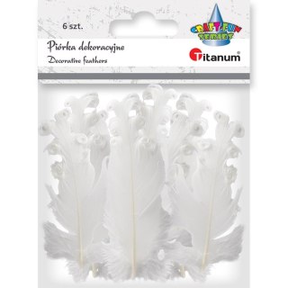 DECORATIVE FEATHERS WHITE CURLY 6 PCS. TITANUM CRAFT-FUN SERIES