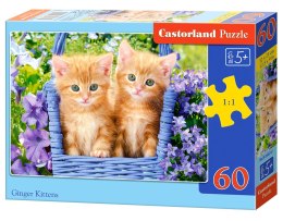 PUZZLE 60 PIECES GINGER KITTENS CASTORLAND B-066247
