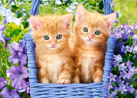 PUZZLE 60 PIECES GINGER KITTENS CASTORLAND B-066247