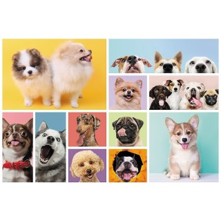 PUZZLE 160 PIECES DOG FRIENDSHIP TREFL 15412 TR TREFL