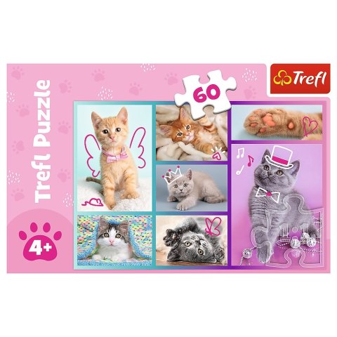 PUZZLE 60 PIECES SWEET KITTENS TREFL 17373 TR TREFL