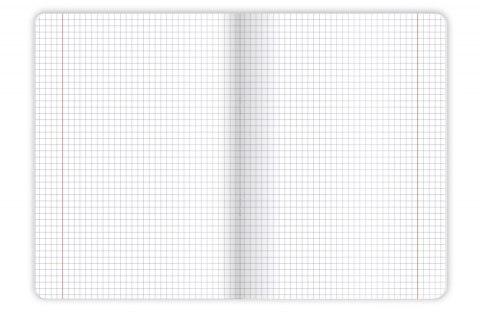 TOP 2000 BOOKWORM/RETRO NOTEBOOK, A5 32 GRID PAGES WITH HAMELIN MARGIN