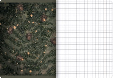 TOP 2000 FOREST/ICE NOTEBOOK, A5 32 GRID PAGES WITH MARGIN HAMELIN