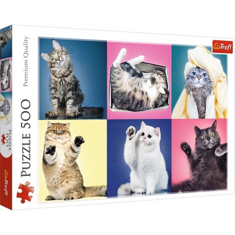 PUZZLE 500 PIECES TREFL KITTENS 37377