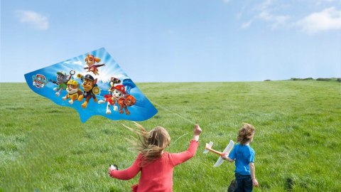 Paw Patrol kite