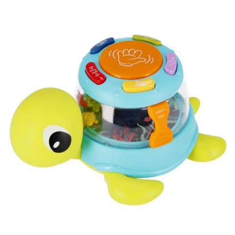 MUSICAL TURTLE BAM BAM 515012 BAM BAM