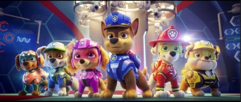 Advent calendar - Paw Patrol