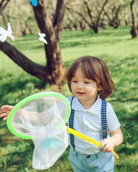 Butterfly net - An entomologist's set for catching insects