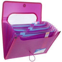 FILE WITH ERASER A4 25 MM 12 COMPARTMENTS PINK STRIGO SF036