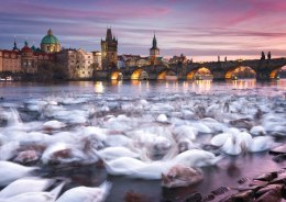 Premium Quality Puzzle 1000 pieces Christian Ringer Prague swans