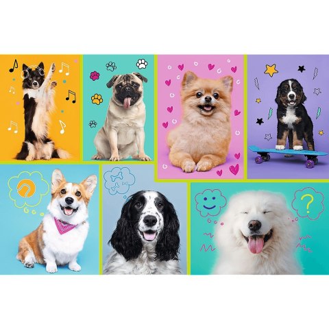 PUZZLE 100 ELEMENTS IN THE WORLD OF DOGS TREFL 16421