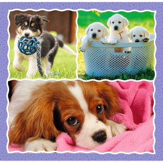 PUZZLE 3IN1 CUTE DOGS PUD TREFL 34854 TR