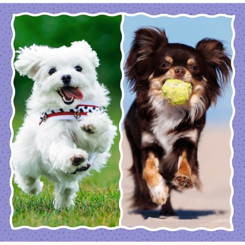 PUZZLE 3IN1 CUTE DOGS PUD TREFL 34854 TR