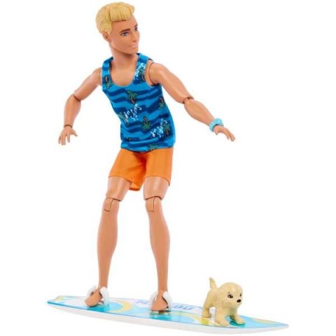 BRB SURFER KEN HPT50 WB6 MATTEL