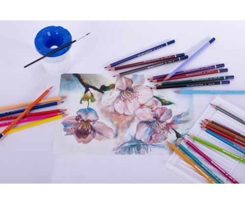 WATERCOLOR PENCILS 24 ASTRA COLORS 312110005