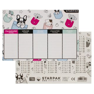 LESSON PLAN MINISA STARPAK 494188