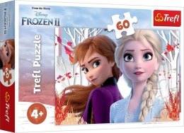 PUZZLE 60 ELEMENTS THE WORLD OF ANNA AND ELSA TREFL 17333 TR