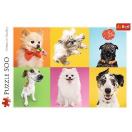 PUZZLE 500 PIECES DOGS OF TREFL 37378