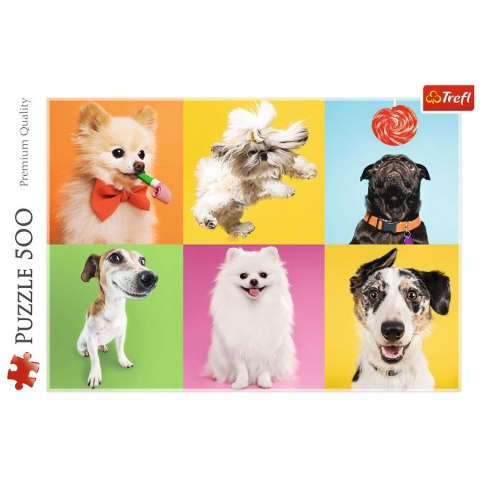 PUZZLE 500 PIECES DOGS OF TREFL 37378