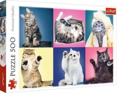 PUZZLE 500 PIECES TREFL KITTENS 37377