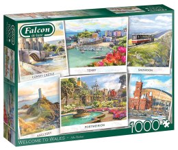 1000 piece puzzles FALCON Wales