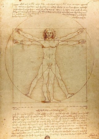 1000 piece puzzles The Vitruvian Man, Leonardo da Vinci