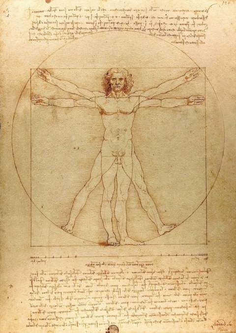 1000 piece puzzles The Vitruvian Man, Leonardo da Vinci