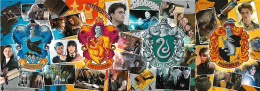 The Four Houses of Hogwarts - Puzzles