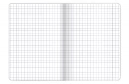 OXFORD PHYSICS NOTEBOOK A5 60 GRID SHEETS WITH MARGIN HAMELIN