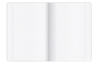 OXFORD PHYSICS NOTEBOOK A5 60 GRID SHEETS WITH MARGIN HAMELIN