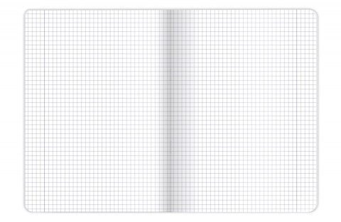 OXFORD PHYSICS NOTEBOOK A5 60 GRID SHEETS WITH MARGIN HAMELIN