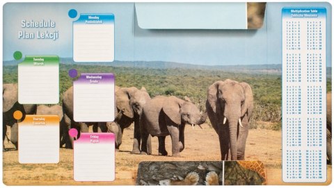 FILE WITH ERASER A4 WILD ANIMALS STARPAK 398151