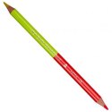 TWO-SIDED PENCILS 24 COLORS JUMBO TRIANGULAR ASTRA 312118001