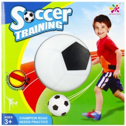 TRAINING BALL WITH MEGA CREATIVE ACCESSORIES 471894