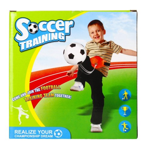 TRAINING BALL WITH MEGA CREATIVE ACCESSORIES 471894