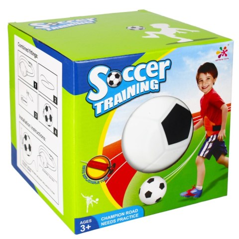 TRAINING BALL WITH MEGA CREATIVE ACCESSORIES 471894