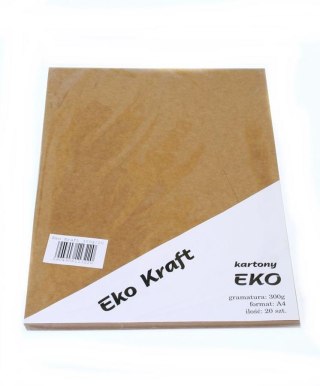 KARTON OZD A4 EKO KRAFT 300G OP20ARK SALON PAPIERÓW