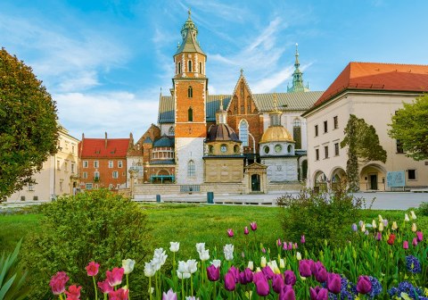 PUZZLE 500 ELEMENTÓW WAWEL CASTLE IN KRAKOW, POLAND CASTORLAND B-53599 CASTOR