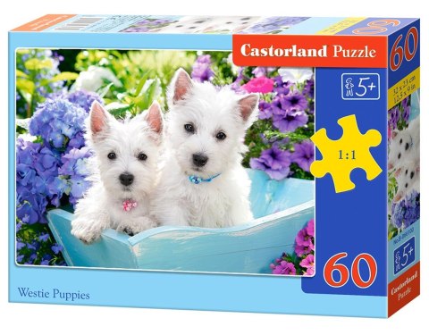 PUZZLE 60 ELEMENTÓW WESTIE PUPPIES CASTORLAND B-066100 CASTOR