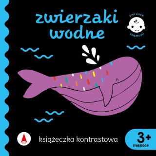 KSIAZECZKA KONTRAST 160X160 OPR TW ZWIERZ WOD SK SKRZAT