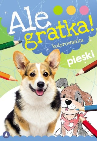 MALOWANKA 165X240 ALE GRATKA PIESKI SK SKRZAT