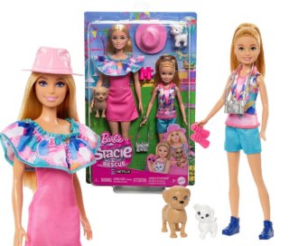 BRB STACIE I BARBIE 2PAK HRM09 WB4 MATTEL